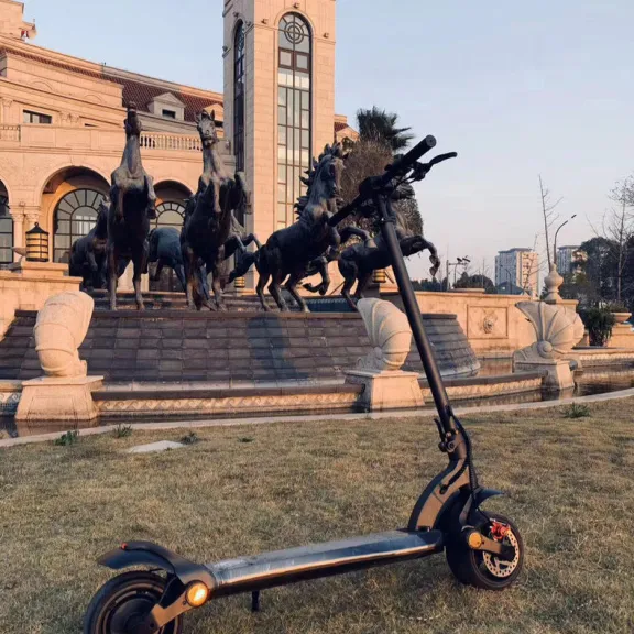 Double Drive Folding Scooter With Wide Tires
